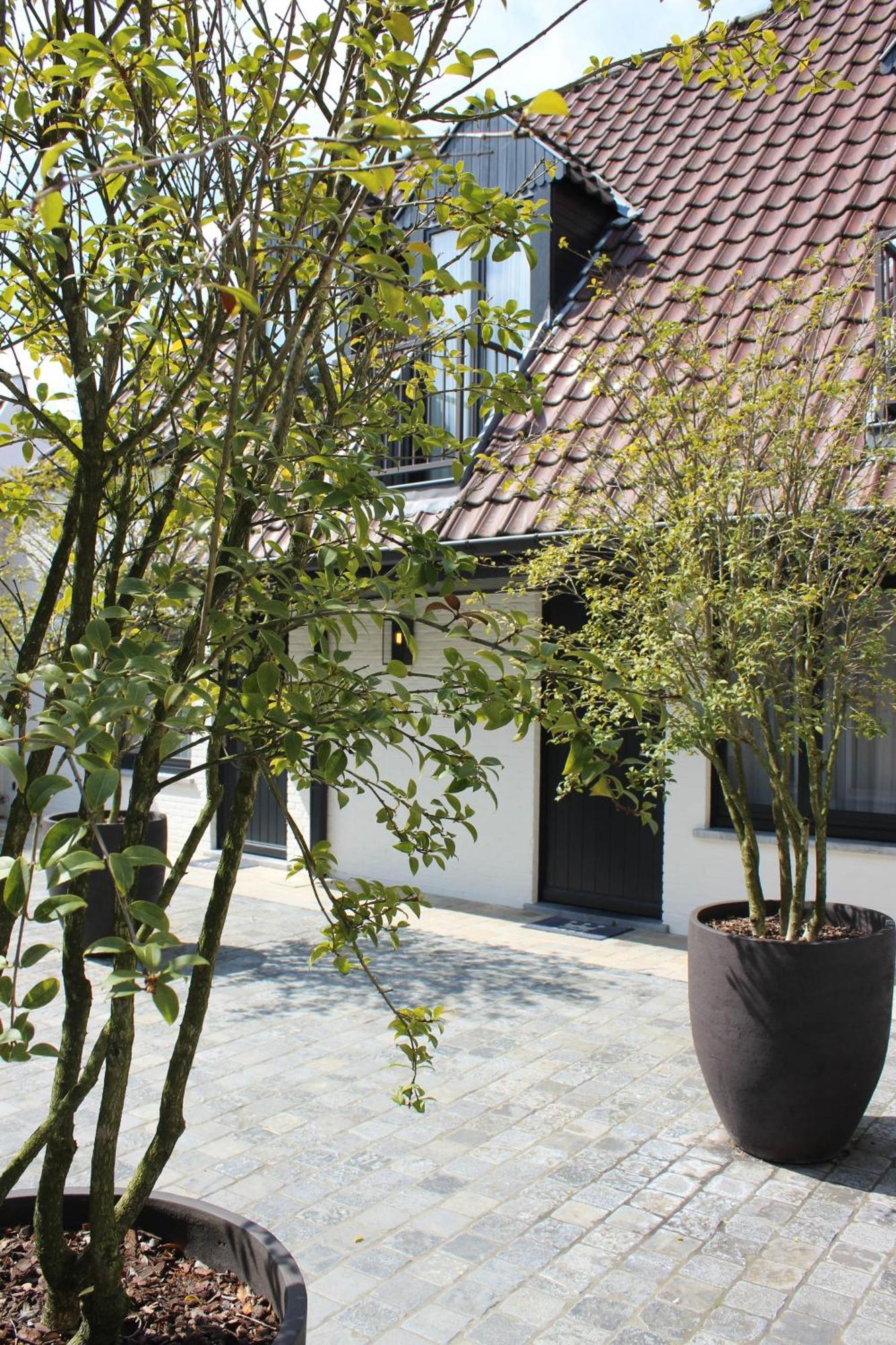 Dukes' Palace Residence - By Dukes' Hotel Collection Bruges Luaran gambar